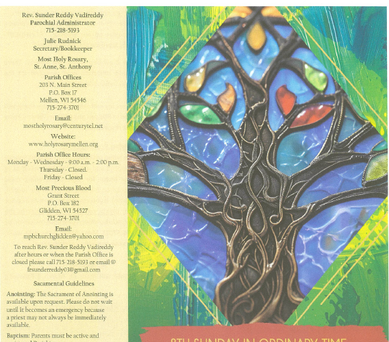 March 2, 2025 – Eighth Sunday of Ordinary Time